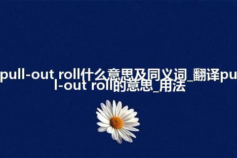 pull-out roll什么意思及同义词_翻译pull-out roll的意思_用法