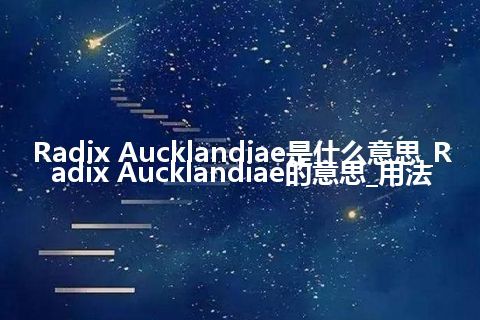 Radix Aucklandiae是什么意思_Radix Aucklandiae的意思_用法