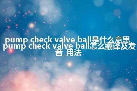 pump check valve ball是什么意思_pump check valve ball怎么翻译及发音_用法