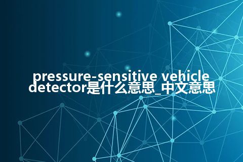 pressure-sensitive vehicle detector是什么意思_中文意思