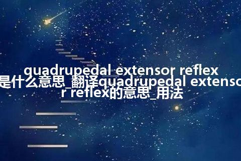 quadrupedal extensor reflex是什么意思_翻译quadrupedal extensor reflex的意思_用法