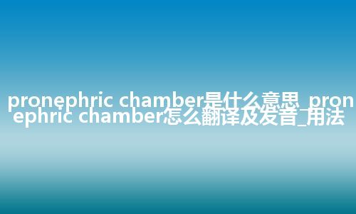 pronephric chamber是什么意思_pronephric chamber怎么翻译及发音_用法