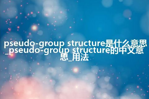pseudo-group structure是什么意思_pseudo-group structure的中文意思_用法