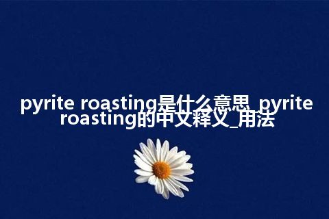 pyrite roasting是什么意思_pyrite roasting的中文释义_用法