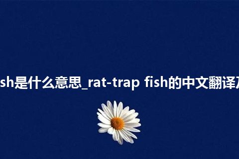 rat-trap fish是什么意思_rat-trap fish的中文翻译及用法_用法