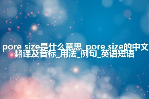 pore size是什么意思_pore size的中文翻译及音标_用法_例句_英语短语