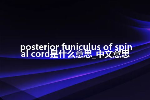 posterior funiculus of spinal cord是什么意思_中文意思