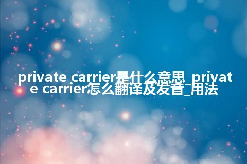 private carrier是什么意思_private carrier怎么翻译及发音_用法