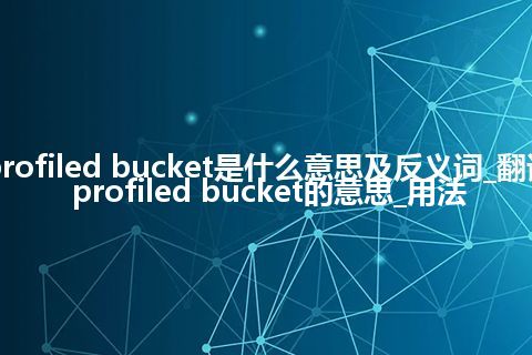 profiled bucket是什么意思及反义词_翻译profiled bucket的意思_用法