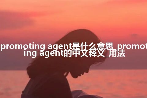 promoting agent是什么意思_promoting agent的中文释义_用法
