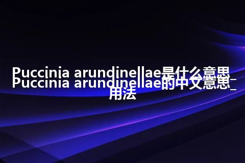 Puccinia arundinellae是什么意思_Puccinia arundinellae的中文意思_用法
