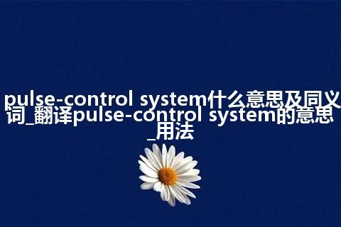 pulse-control system什么意思及同义词_翻译pulse-control system的意思_用法