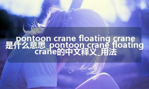 pontoon crane floating crane是什么意思_pontoon crane floating crane的中文释义_用法