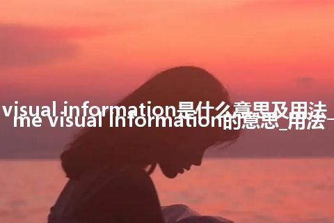 real-time visual information是什么意思及用法_翻译real-time visual information的意思_用法