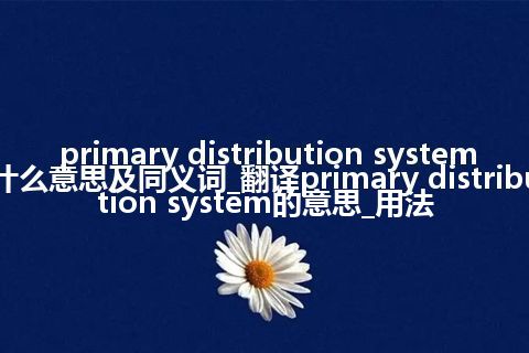 primary distribution system什么意思及同义词_翻译primary distribution system的意思_用法