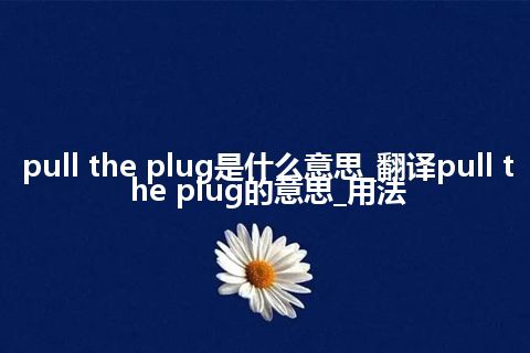 pull the plug是什么意思_翻译pull the plug的意思_用法