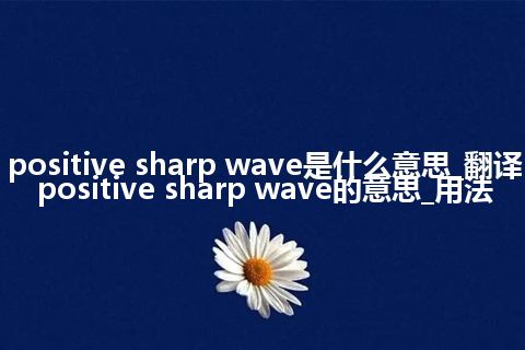 positive sharp wave是什么意思_翻译positive sharp wave的意思_用法