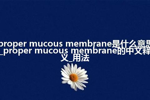 proper mucous membrane是什么意思_proper mucous membrane的中文释义_用法