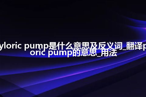 pyloric pump是什么意思及反义词_翻译pyloric pump的意思_用法