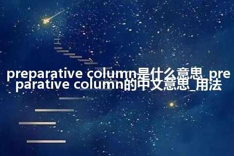 preparative column是什么意思_preparative column的中文意思_用法