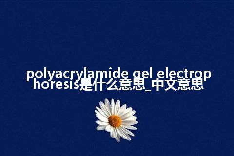 polyacrylamide gel electrophoresis是什么意思_中文意思