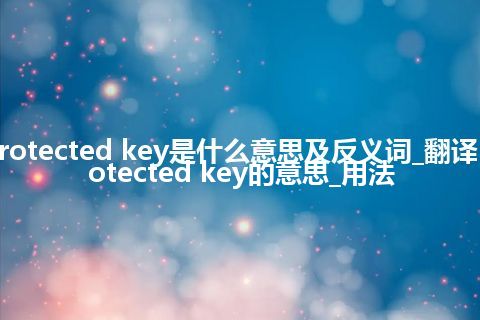 protected key是什么意思及反义词_翻译protected key的意思_用法