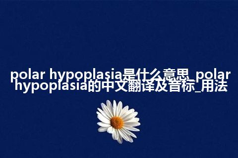 polar hypoplasia是什么意思_polar hypoplasia的中文翻译及音标_用法