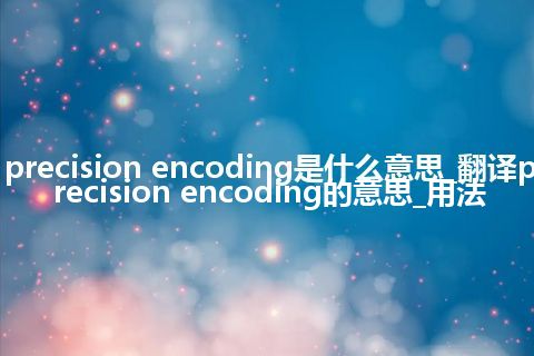 precision encoding是什么意思_翻译precision encoding的意思_用法