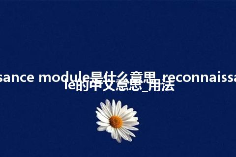 reconnaissance module是什么意思_reconnaissance module的中文意思_用法