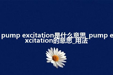 pump excitation是什么意思_pump excitation的意思_用法