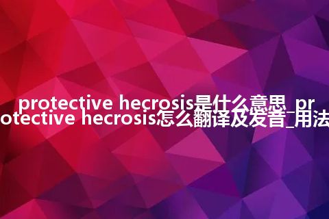 protective hecrosis是什么意思_protective hecrosis怎么翻译及发音_用法