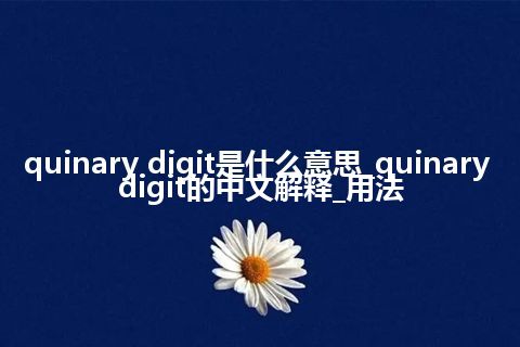 quinary digit是什么意思_quinary digit的中文解释_用法