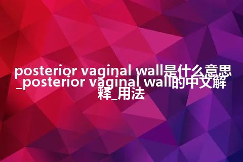 posterior vaginal wall是什么意思_posterior vaginal wall的中文解释_用法