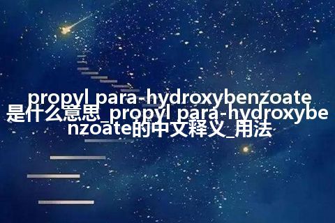 propyl para-hydroxybenzoate是什么意思_propyl para-hydroxybenzoate的中文释义_用法