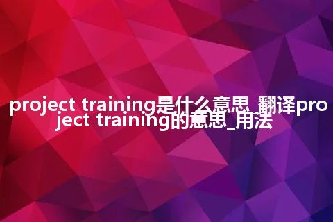 project training是什么意思_翻译project training的意思_用法