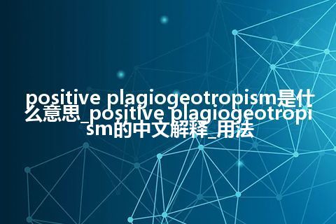 positive plagiogeotropism是什么意思_positive plagiogeotropism的中文解释_用法
