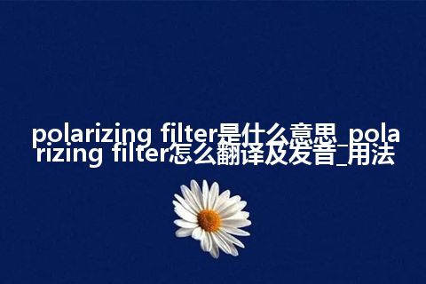 polarizing filter是什么意思_polarizing filter怎么翻译及发音_用法
