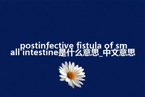 postinfective fistula of small intestine是什么意思_中文意思