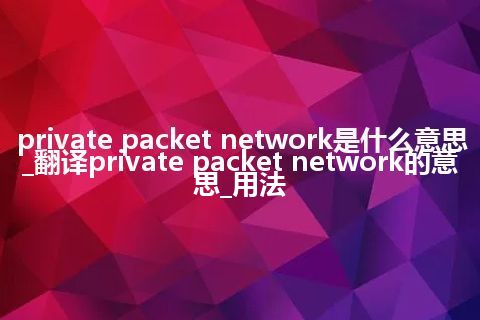 private packet network是什么意思_翻译private packet network的意思_用法