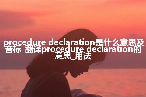 procedure declaration是什么意思及音标_翻译procedure declaration的意思_用法