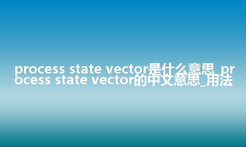 process state vector是什么意思_process state vector的中文意思_用法