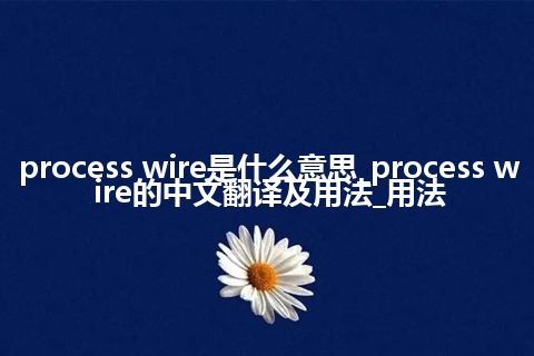 process wire是什么意思_process wire的中文翻译及用法_用法