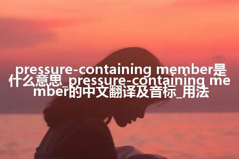 pressure-containing member是什么意思_pressure-containing member的中文翻译及音标_用法
