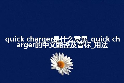 quick charger是什么意思_quick charger的中文翻译及音标_用法