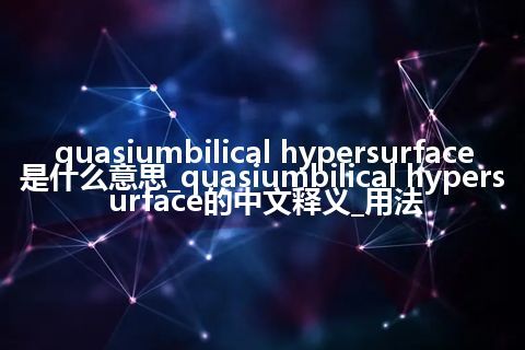 quasiumbilical hypersurface是什么意思_quasiumbilical hypersurface的中文释义_用法