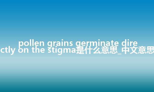 pollen grains germinate directly on the stigma是什么意思_中文意思