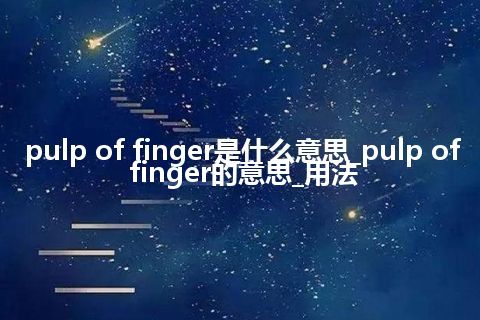pulp of finger是什么意思_pulp of finger的意思_用法