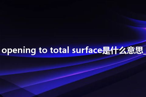 ratio of opening to total surface是什么意思_中文意思