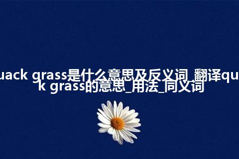 quack grass是什么意思及反义词_翻译quack grass的意思_用法_同义词