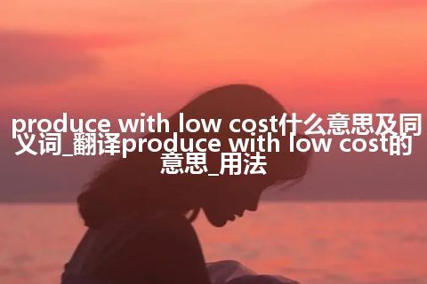 produce with low cost什么意思及同义词_翻译produce with low cost的意思_用法